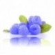 Qualitäts-Aroma Blue Rasberry 10ml